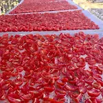 Ξενοδοχείο Agriturismo Armienti Toritto