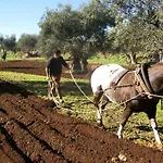 Agriturismo Armienti Toritto