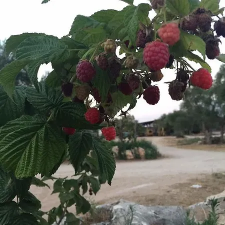 Agriturismo Armienti Hotel