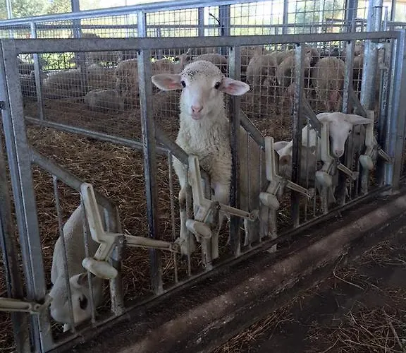 Agriturismo Armienti Hotel