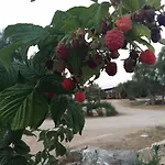Agriturismo Armienti Hotel
