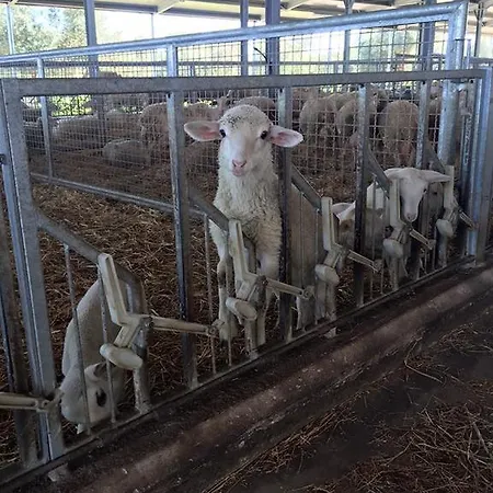 Agriturismo Armienti Hotel
