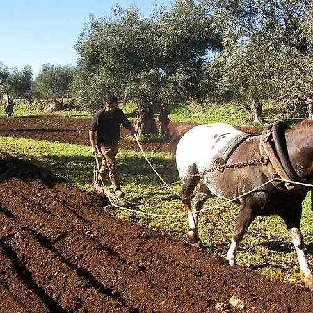 Agriturismo Armienti Toritto