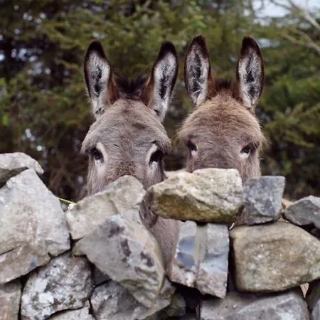 Agriturismo Armienti Hotel Toritto