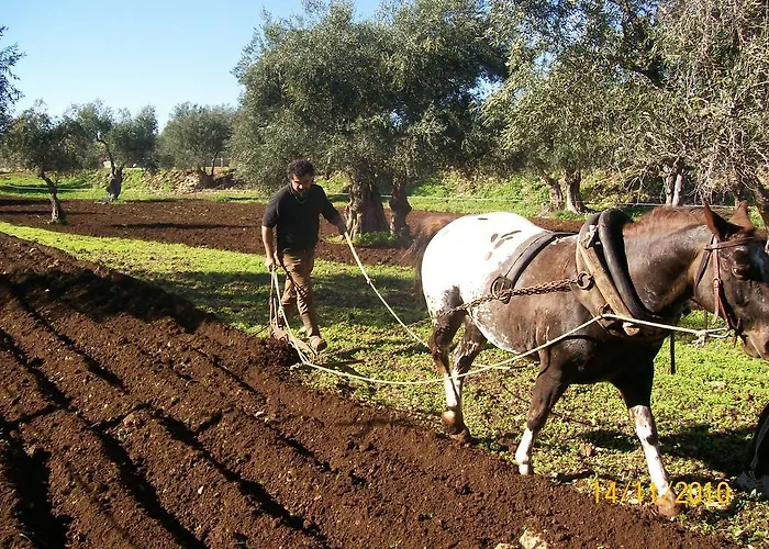 Agriturismo Armienti Toritto